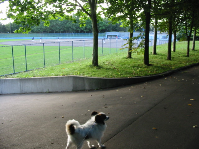 f0122259_2046283.jpg