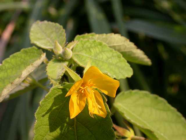 b0104861_1933913.jpg