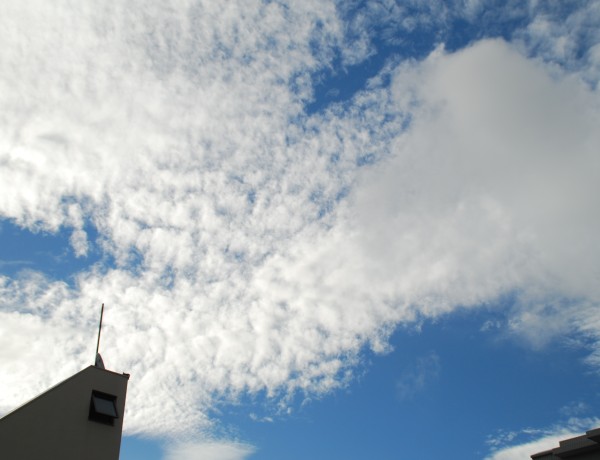 e0020166_811226.jpg