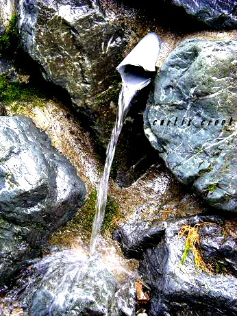 c0136486_115520.jpg
