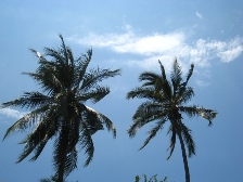 f0060589_1995436.jpg