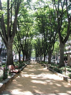 e0110690_19365049.jpg