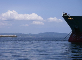c0008598_13573664.jpg