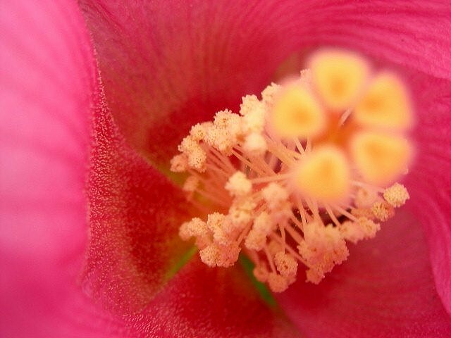 f0083400_8425922.jpg