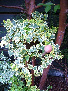 f0065604_22312090.jpg