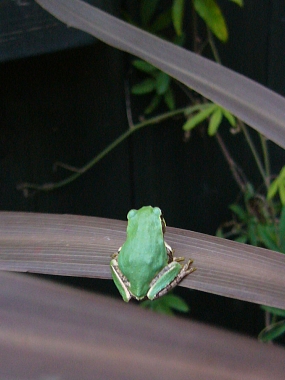 f0065604_22321739.jpg