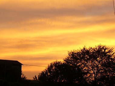 f0065604_2232522.jpg