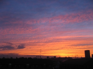 c0017505_9162319.jpg