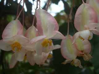 b0061107_014953.jpg