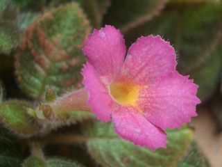 b0061107_043635.jpg
