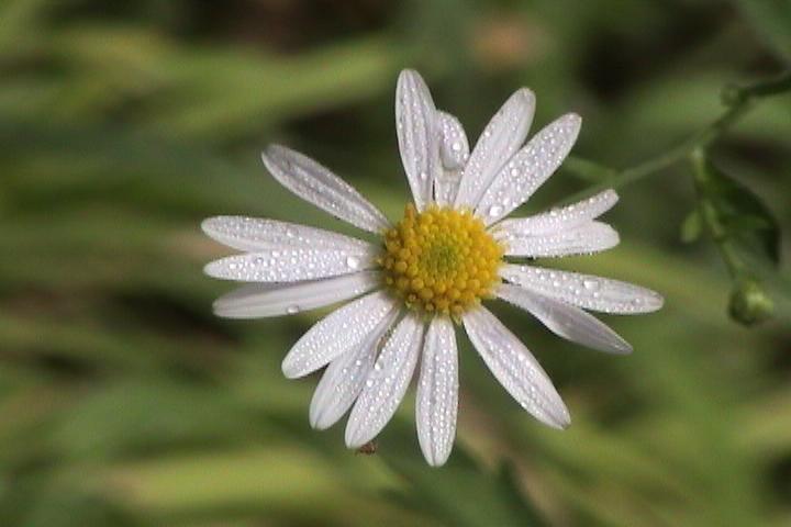 a0097823_23431625.jpg