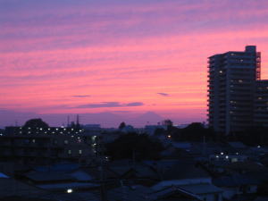 b0028524_2035404.jpg