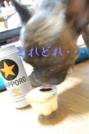 c0130324_0573965.jpg