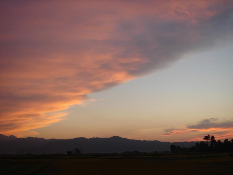 f0131535_126348.jpg