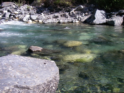 f0084544_11545312.jpg