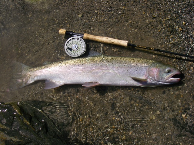 f0084544_1203162.jpg