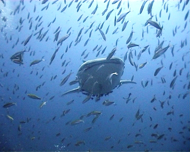 e0027447_019248.jpg