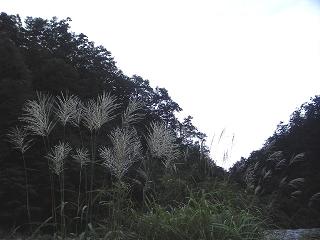 a0079652_19572315.jpg