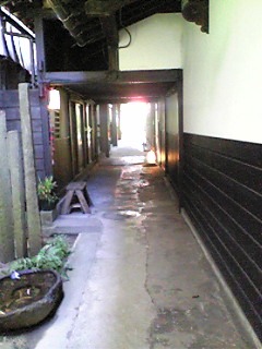 f0043859_2381148.jpg
