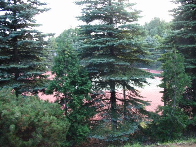 f0122259_21352142.jpg