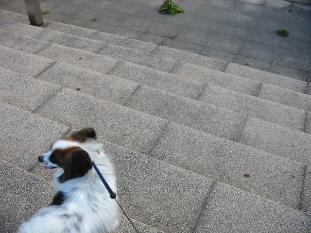 f0122259_21405068.jpg