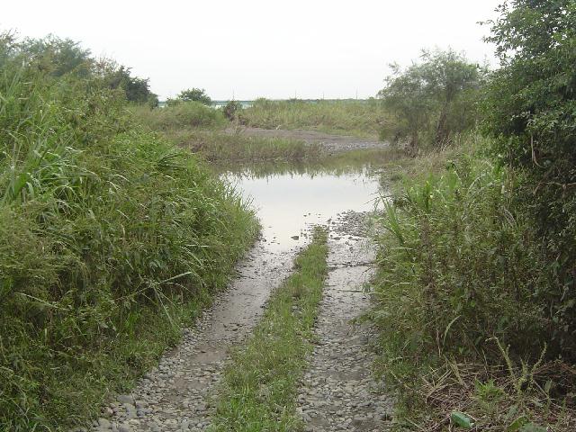 b0024266_14431341.jpg