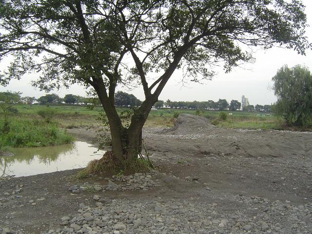 b0024266_144348100.jpg