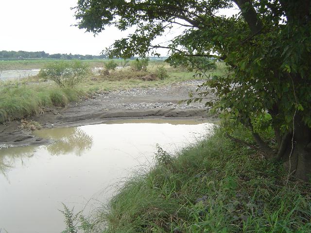 b0024266_14435780.jpg