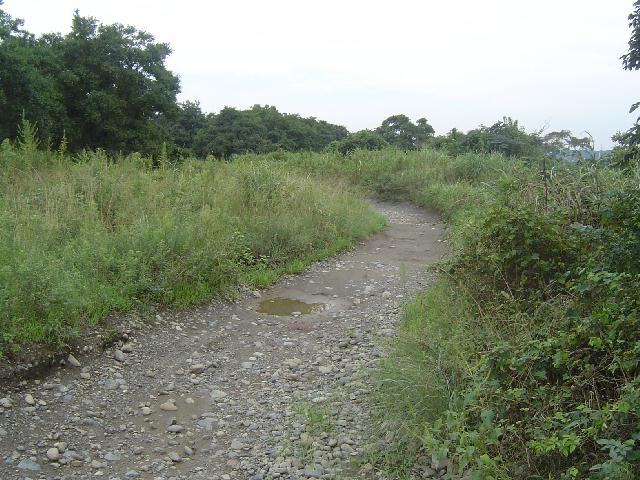 b0024266_14441095.jpg