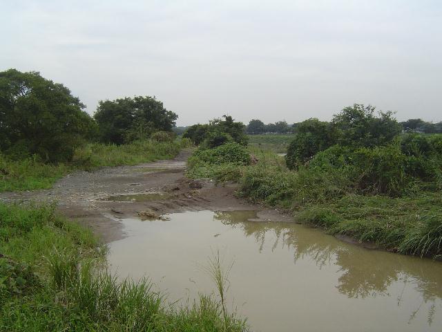 b0024266_1444380.jpg