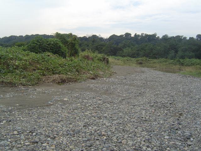 b0024266_20435656.jpg