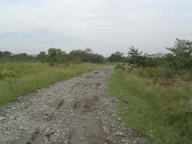 b0024266_20451695.jpg