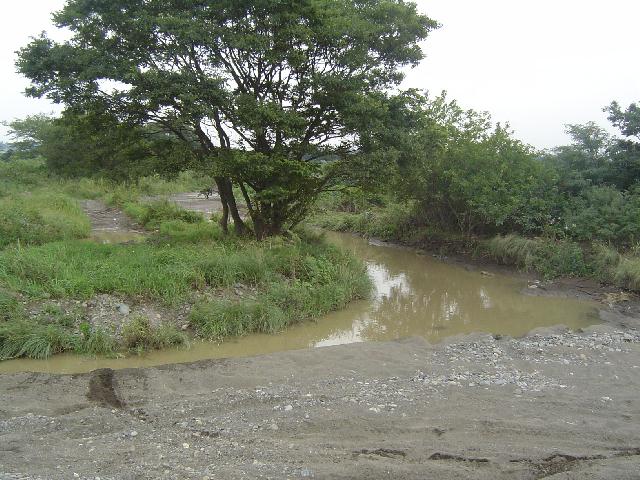 b0024266_20504264.jpg