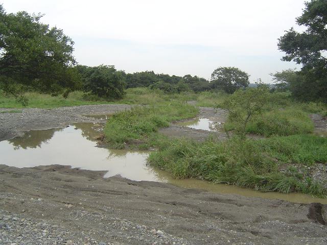 b0024266_20505044.jpg