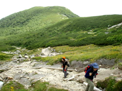 b0050067_11886.jpg