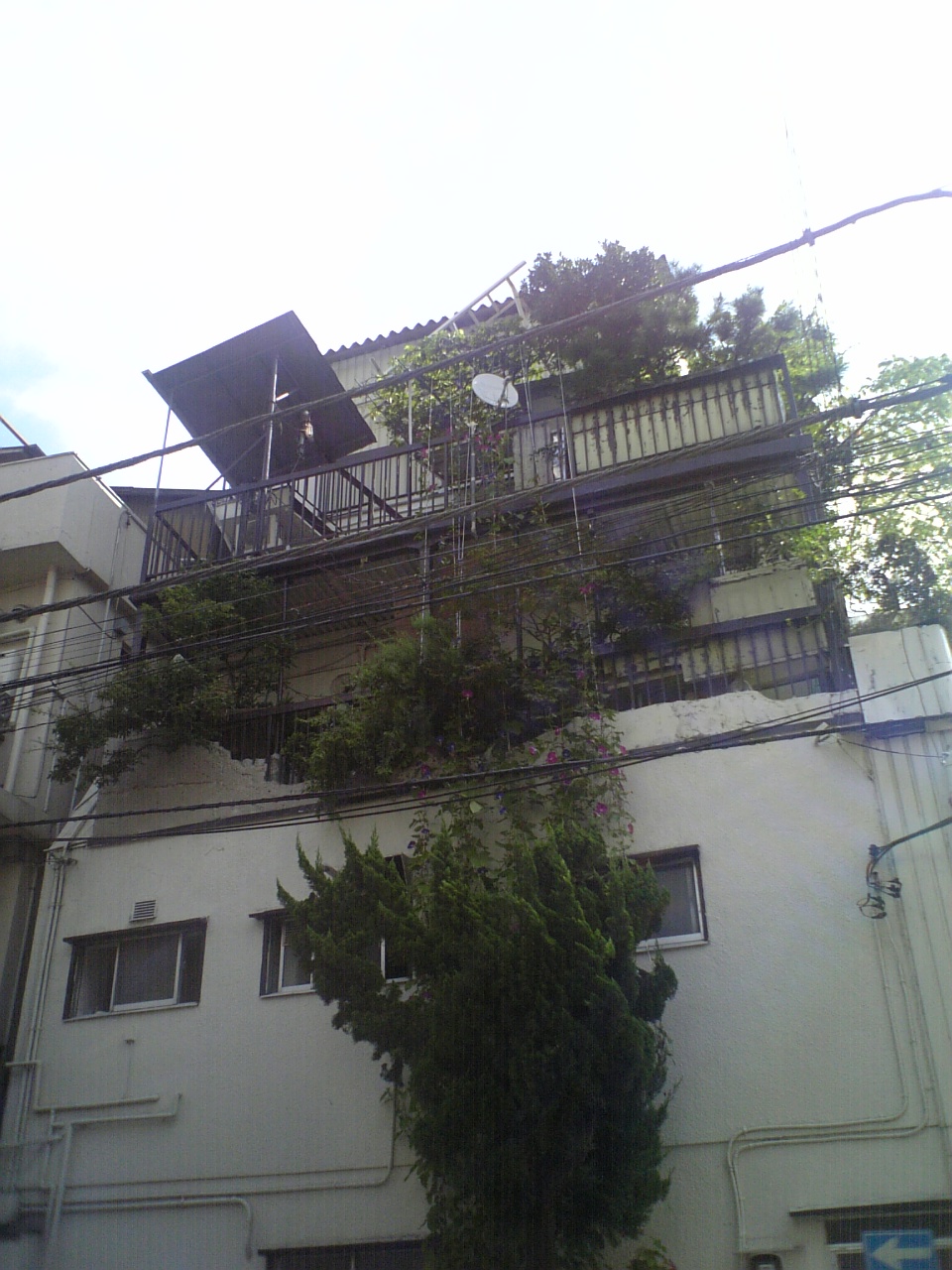 d0004574_04347.jpg