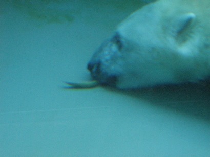f0116278_0582761.jpg