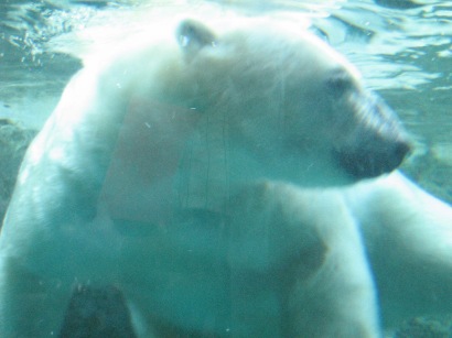 f0116278_0585278.jpg