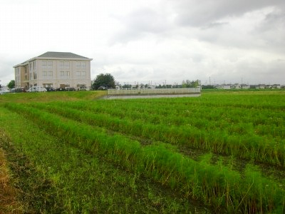 c0078480_23125846.jpg