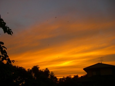 c0078480_2340010.jpg