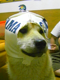 c0123890_22311116.jpg