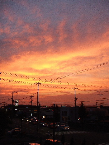 b0110492_18313735.jpg