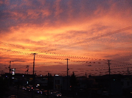 b0110492_18315160.jpg