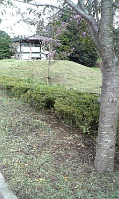 d0100192_2203884.jpg