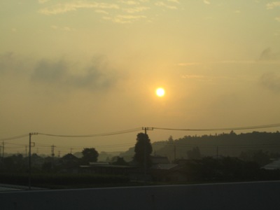 d0082695_1456397.jpg