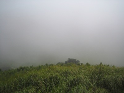 d0082695_1512287.jpg