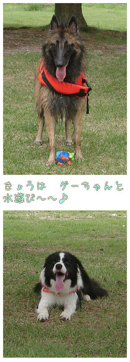 f0082396_881020.jpg