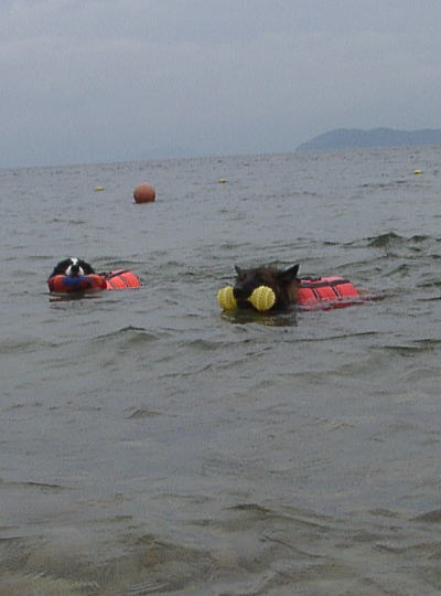 f0082396_883460.jpg
