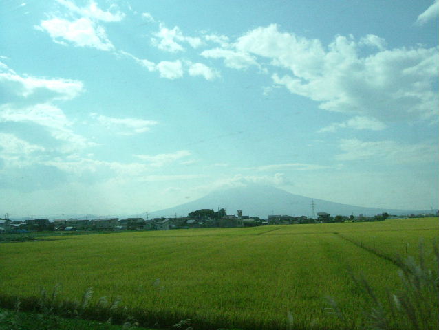 f0113109_1129451.jpg