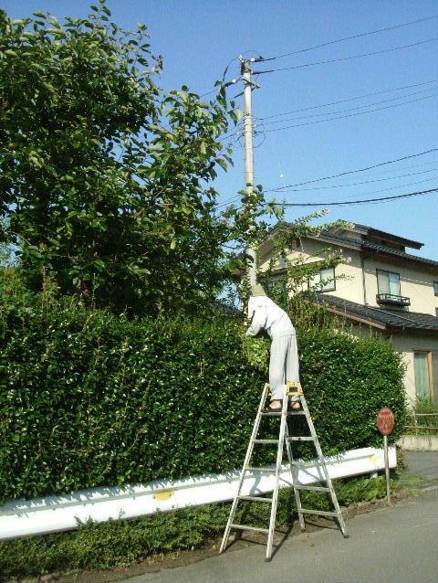 f0113109_11302047.jpg